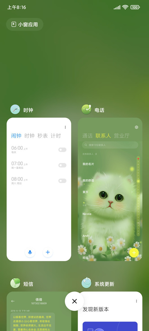 小雏菊丛中的小猫咪 screenshot