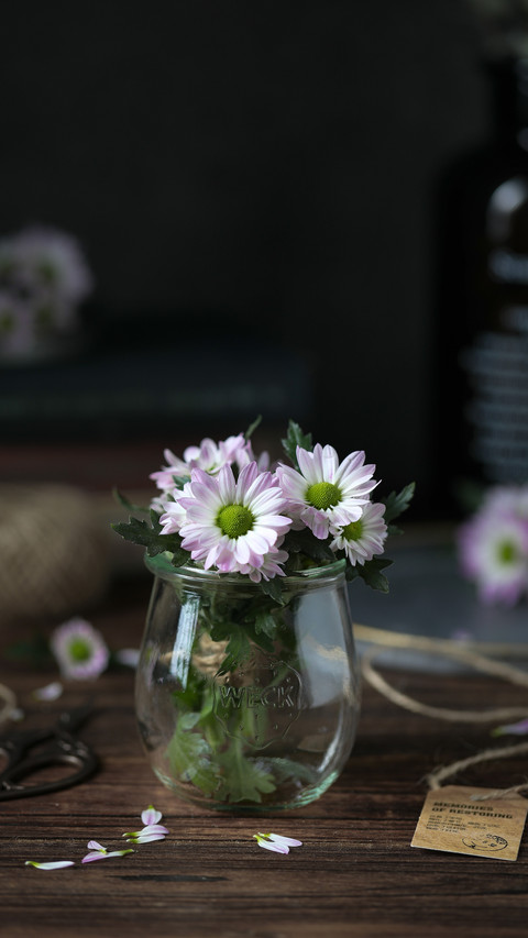 Plants suitable for table top 14 screenshot