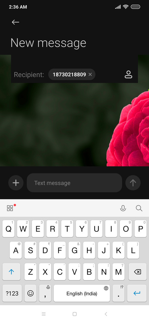 Red Rose_DWM20 screenshot
