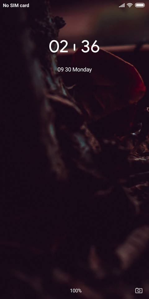Dark Leaf_DWM2 screenshot