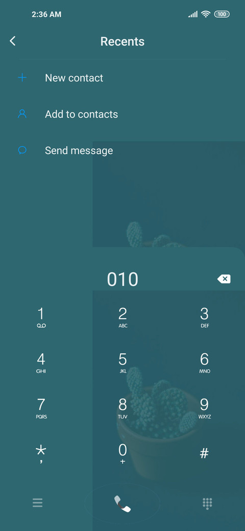 cactus screenshot