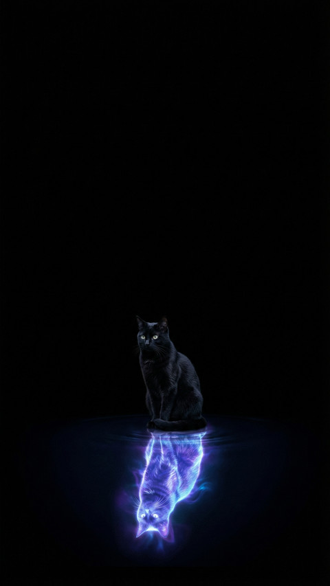 Cosmic Reflection Black Cat Zen screenshot