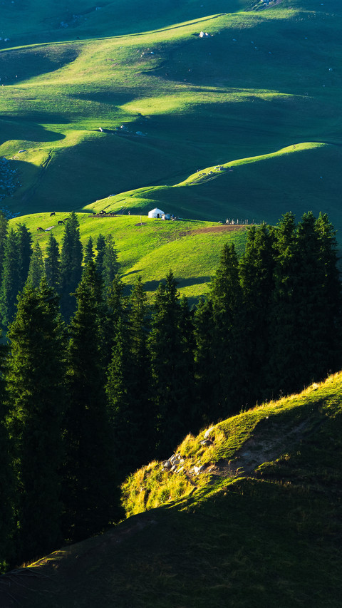 How fragrant altay is in summer screenshot