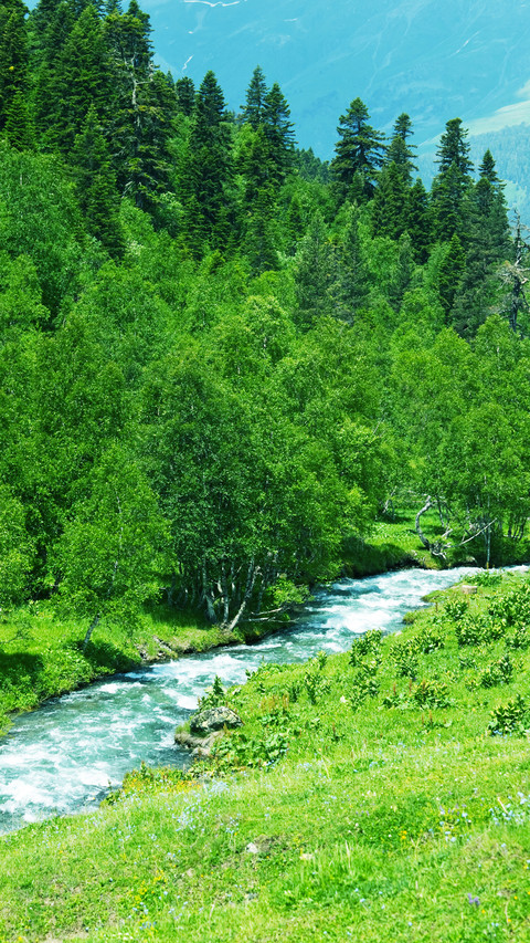 Natural rivers screenshot