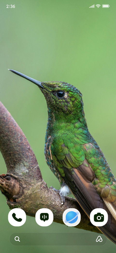 Tiny Hummer screenshot