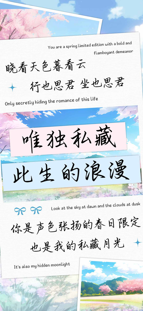 唯独私藏此生的浪漫 screenshot