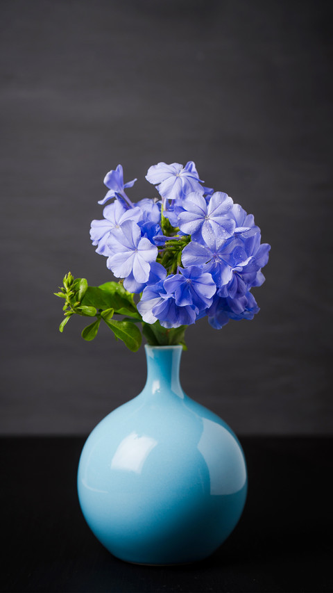 What flowers are suitable for growing in summer 75 screenshot