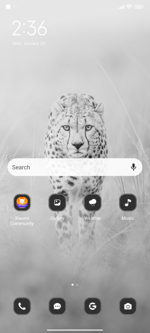 White Cat screenshot