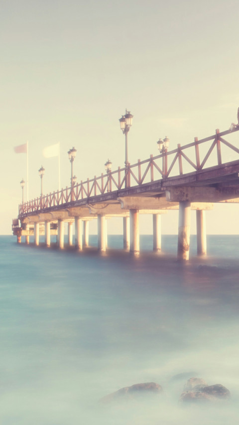 情归何处 screenshot