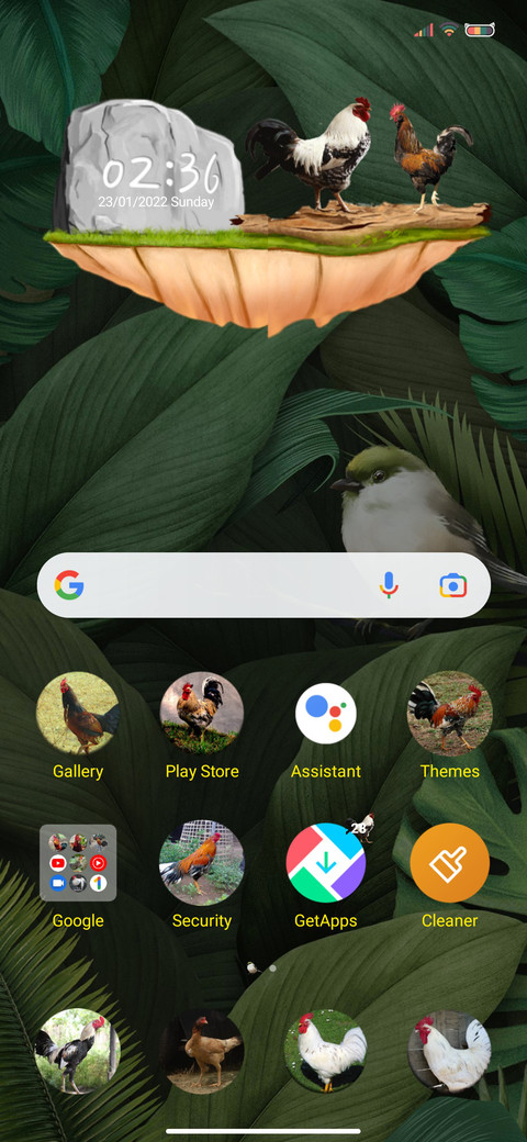 Rooster Chicken screenshot