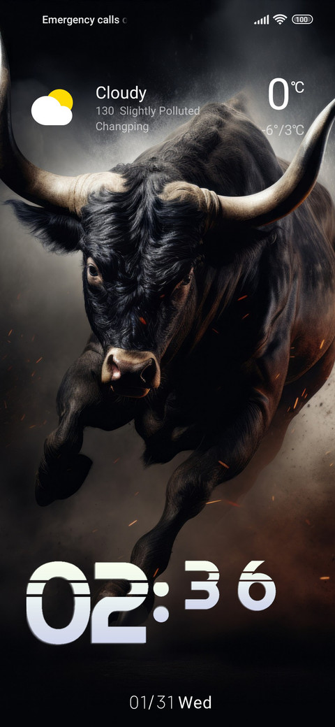 wildlife bull screenshot