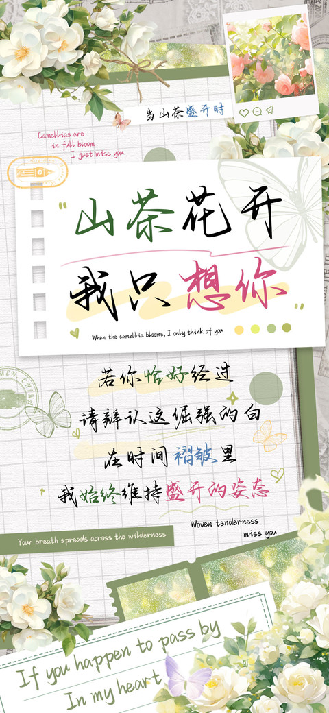 山茶花开我只想你 screenshot