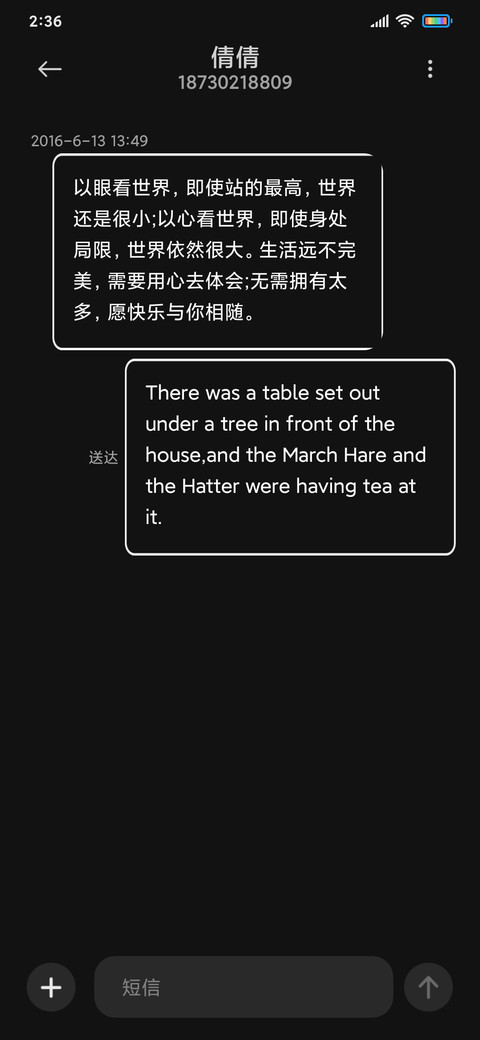闪电简约黑 screenshot