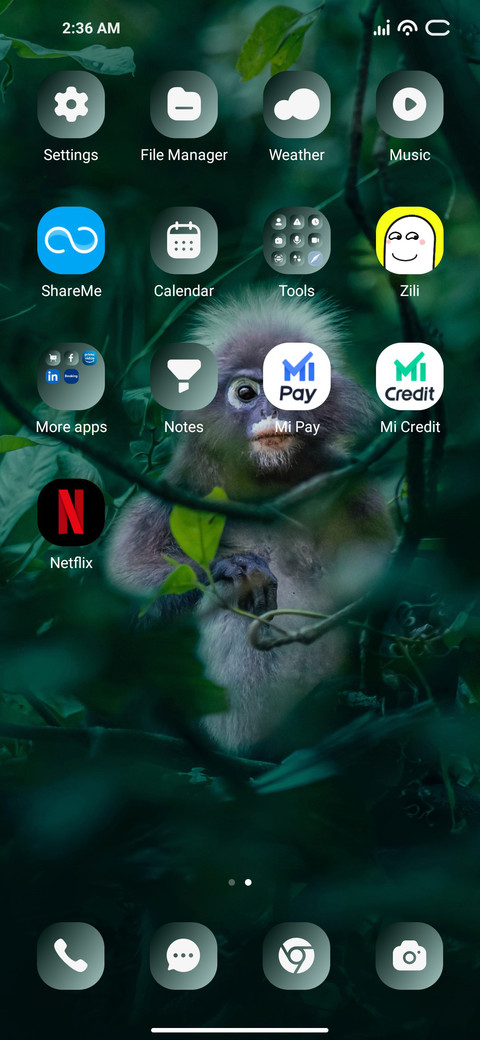 Nosy Monkey screenshot