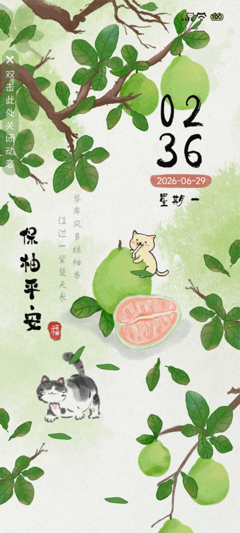 国风青柚 screenshot