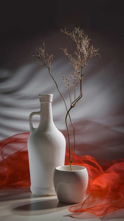 Modern still life with a dry branch in a white vase screenshot