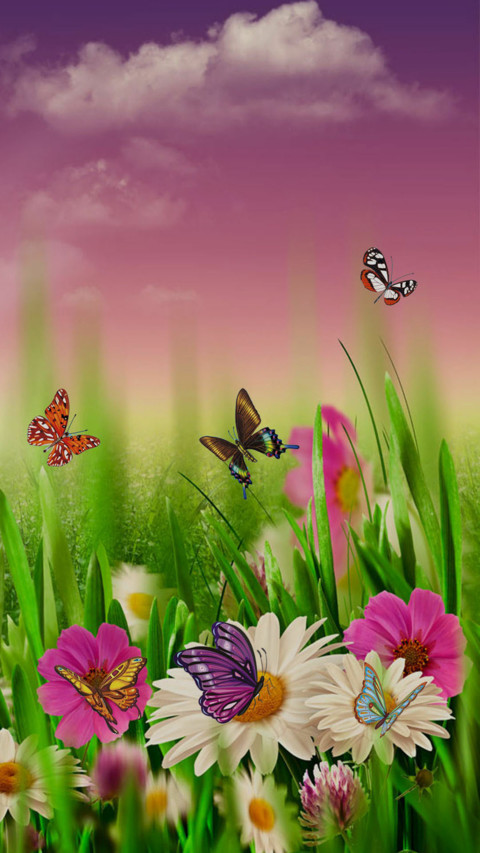 百花迎蝶 screenshot