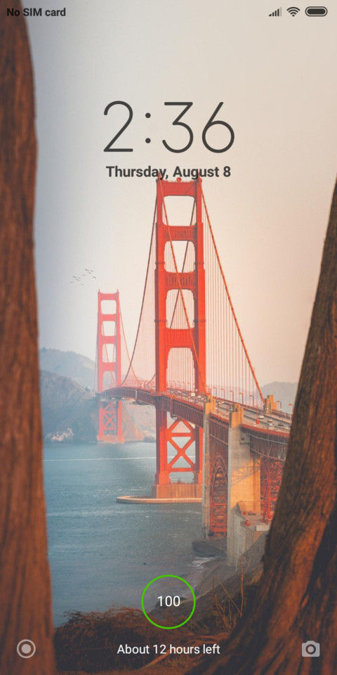 Suspension bridge screenshot