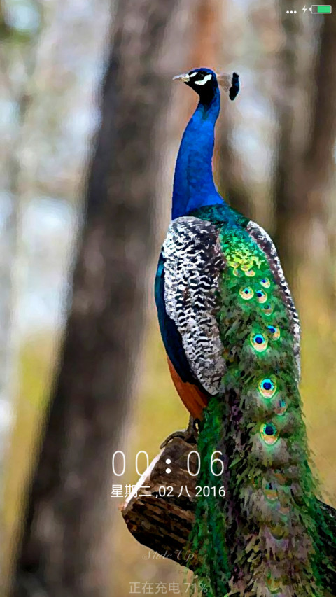 Nature Greenify In Designs  screenshot