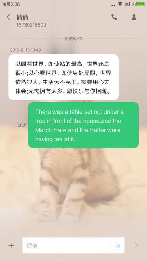 可爱萌萌猫咪 screenshot
