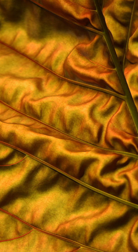 Texture & Pattern (3) screenshot