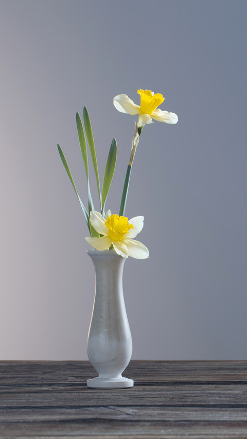 Yellow narcissus in vase on wooden table on dark background screenshot