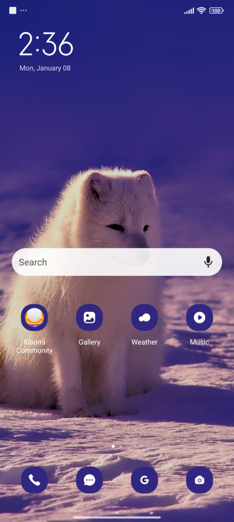 Snow Wild screenshot