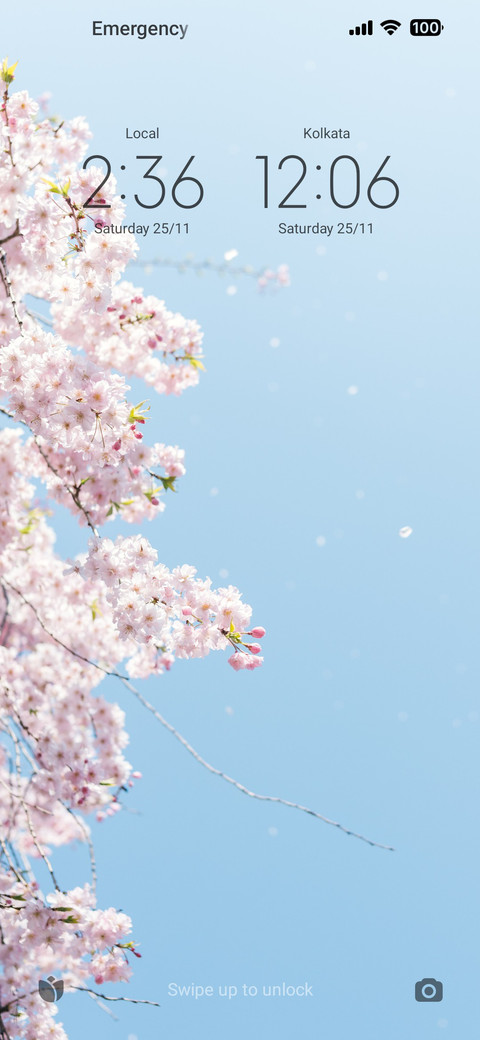 Sakura screenshot
