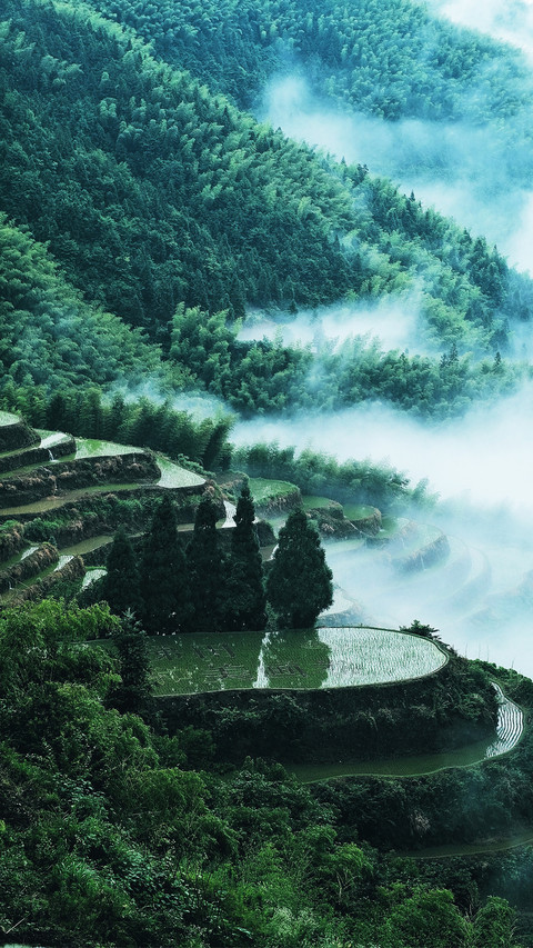 Terraced fields shrouded in mist and clouds screenshot