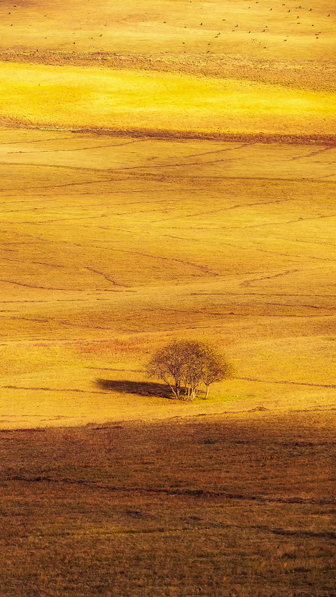 Encounter the golden autumn of the grassland 2 screenshot