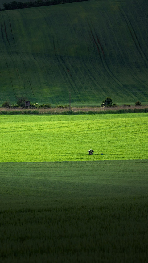 Moravian Green Fields screenshot