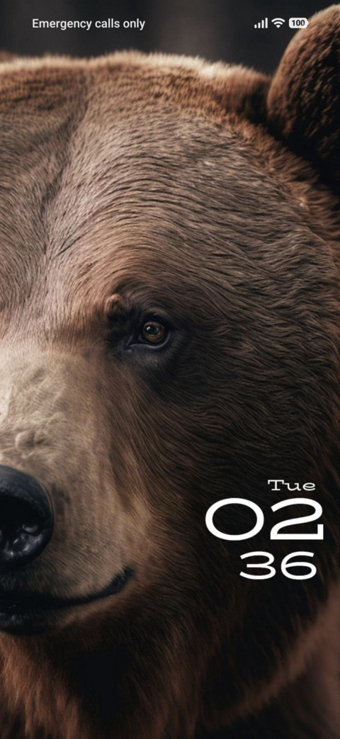 Bear screenshot