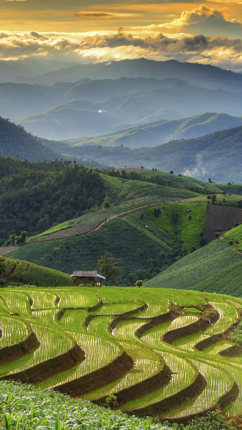 Beautiful Terraced Fields screenshot