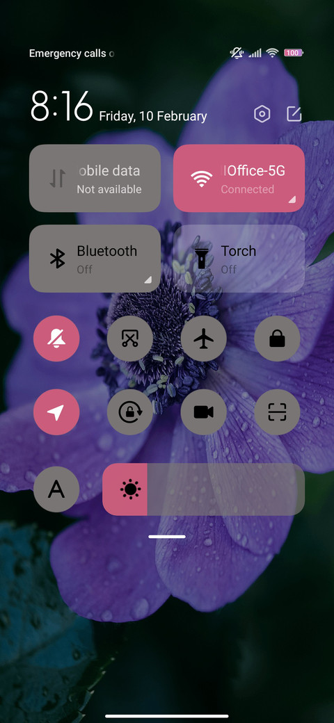 Vinca blue screenshot