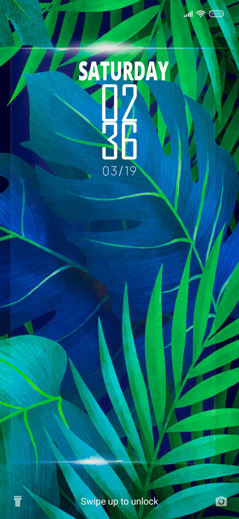 Tropical D Frame screenshot