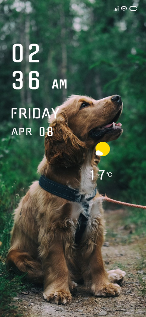 Pet Dog screenshot