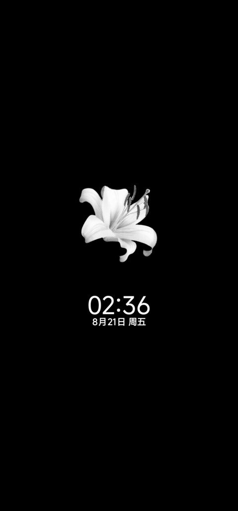 ins波点 天使小鹿 screenshot
