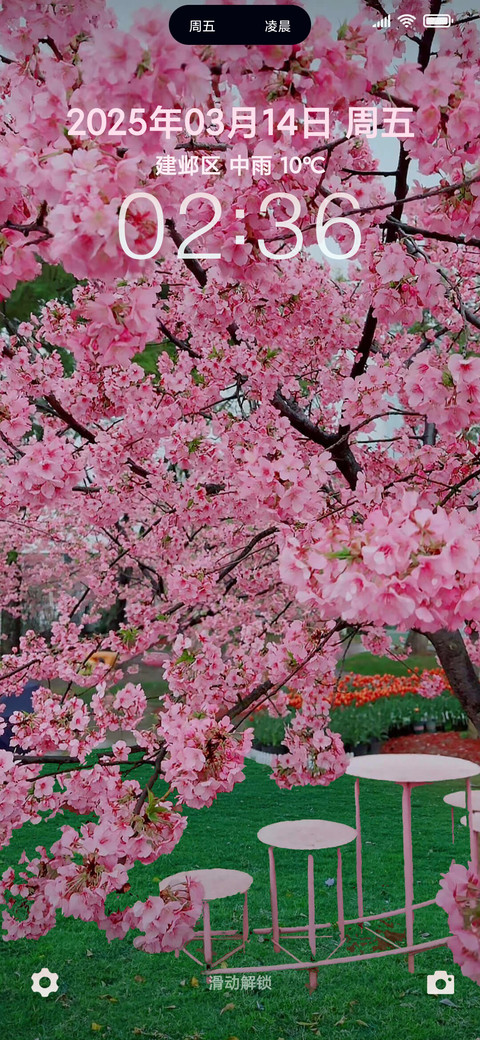 春花满园 screenshot