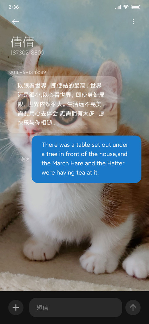 萌猫物语 screenshot