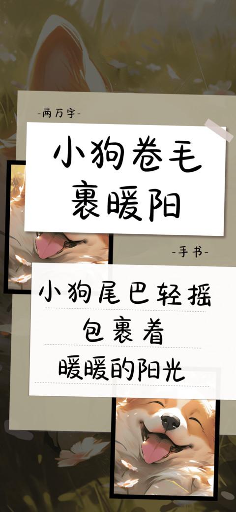 小狗卷毛裹暖阳 screenshot