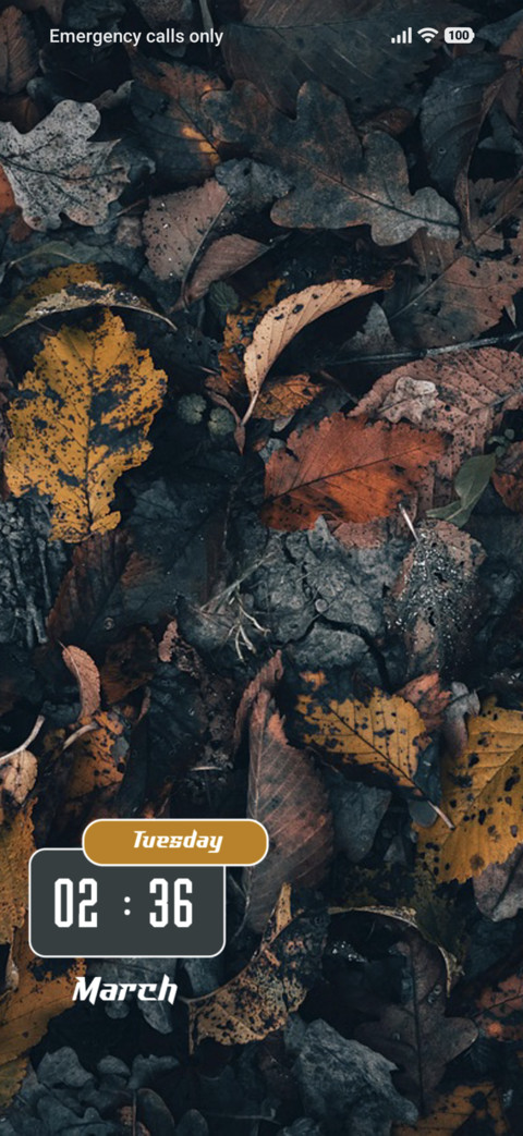 Dry Leaf screenshot
