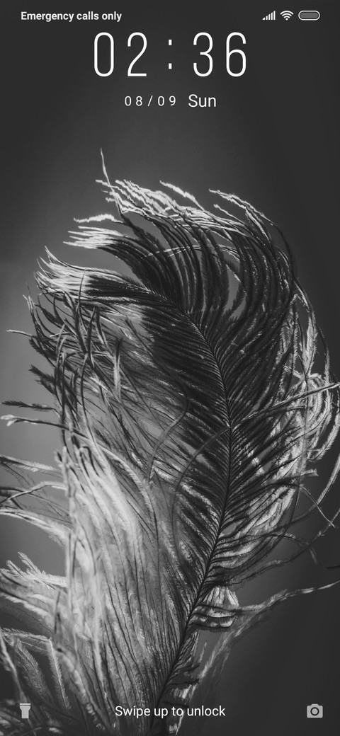 Feather - Monochrome_3MDS screenshot