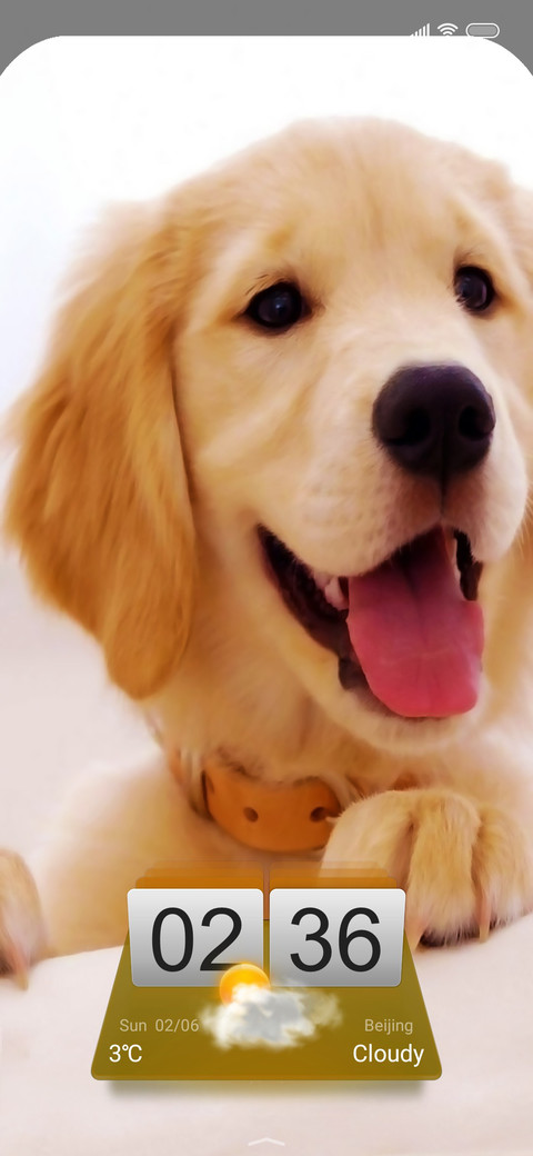 Puppy Si screenshot