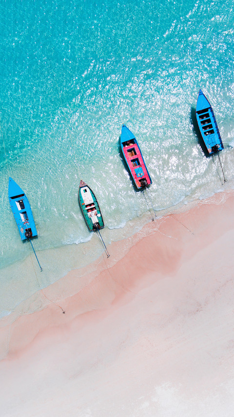 International-Paradise rose beach screenshot