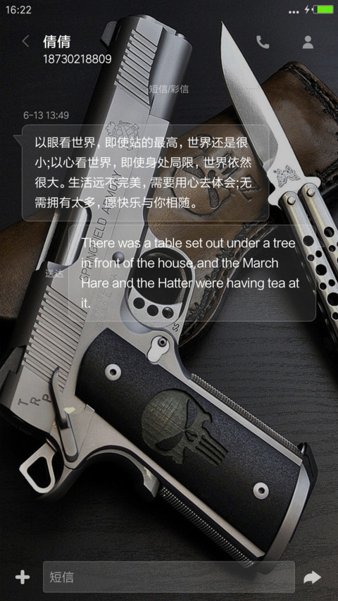 枪械欣赏（自由桌面+全图标） screenshot