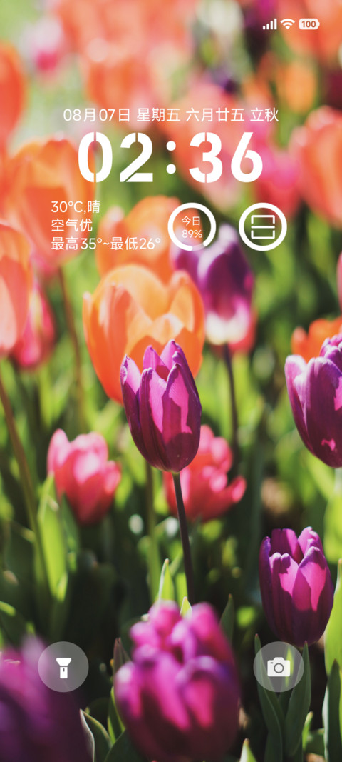 bloom screenshot
