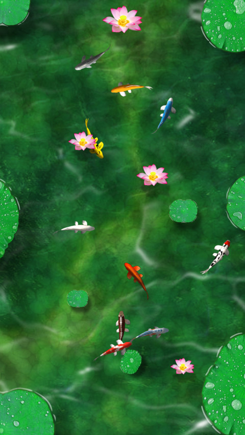 锦鲤小鱼 screenshot