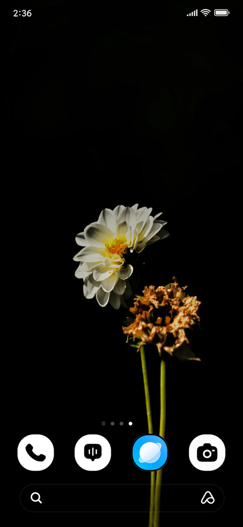 Snow Garden screenshot