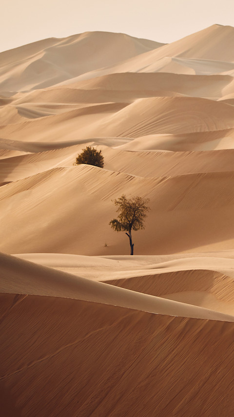 Amazing desert-02 screenshot