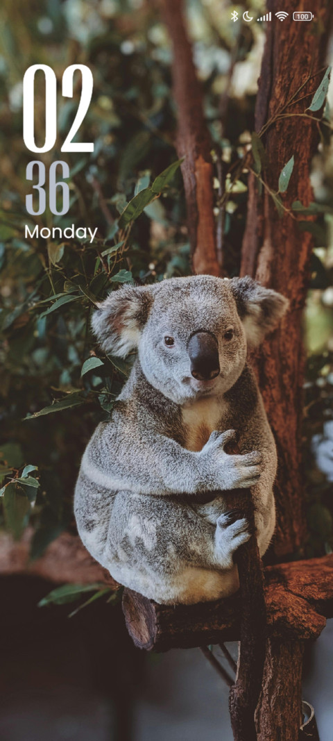 Cute Animal screenshot